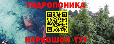 гашик Гусев