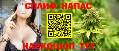 гашик Гусев