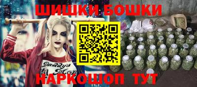 гашик Гусев