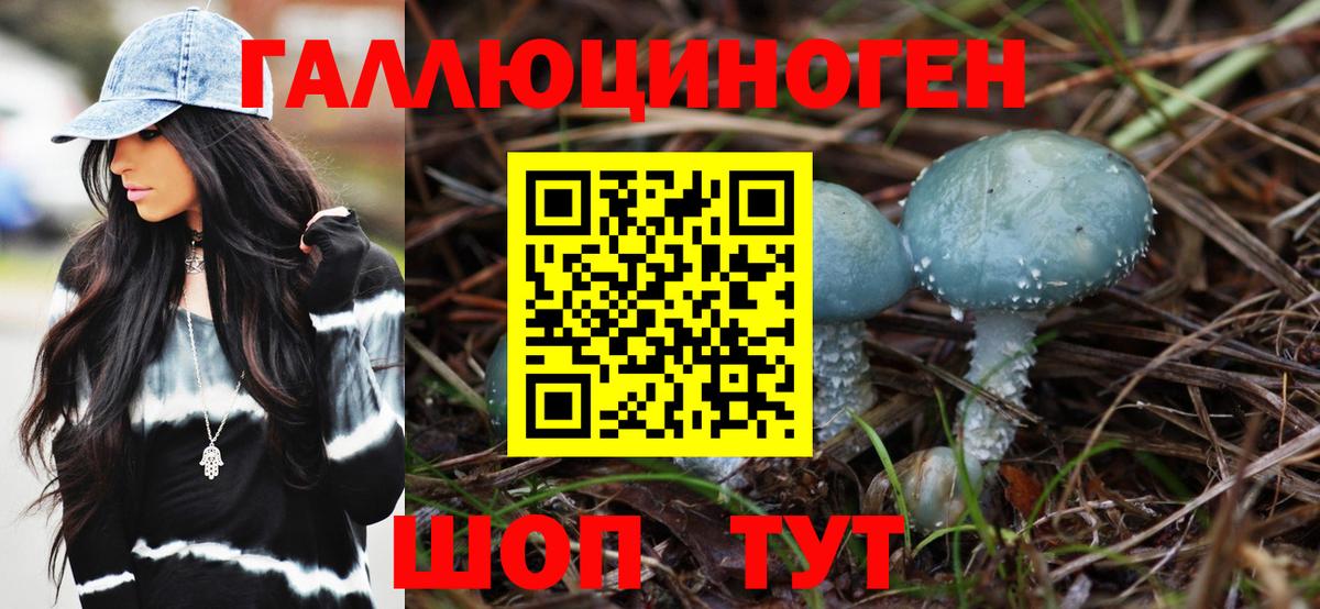 Псилоцибиновые грибы прущие грибы Нижнеудинск