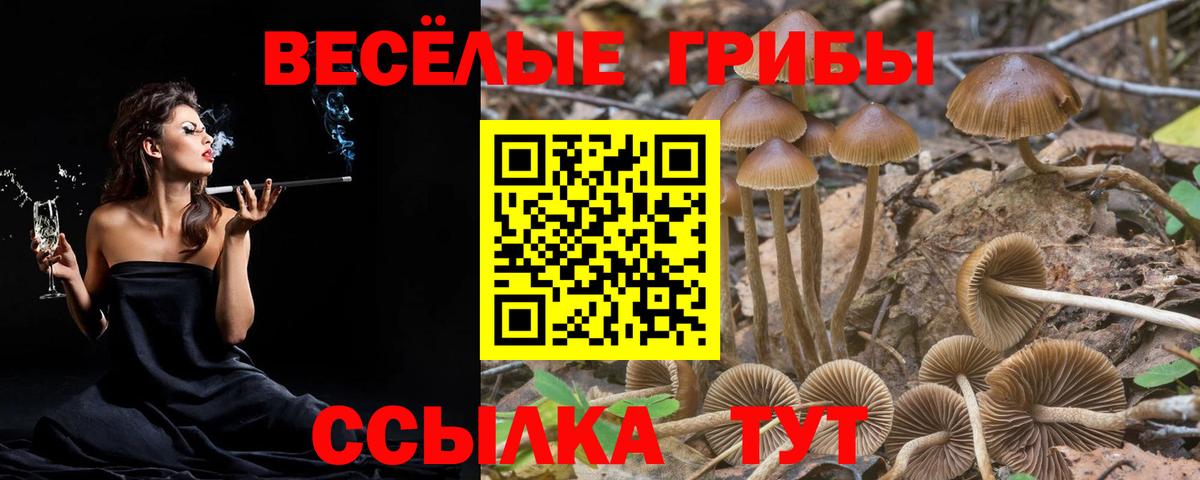 Нижнеудинск  Галлюциногенные грибы прущие грибы  Вход с VPN  Галлюциногенные грибы мухоморы 